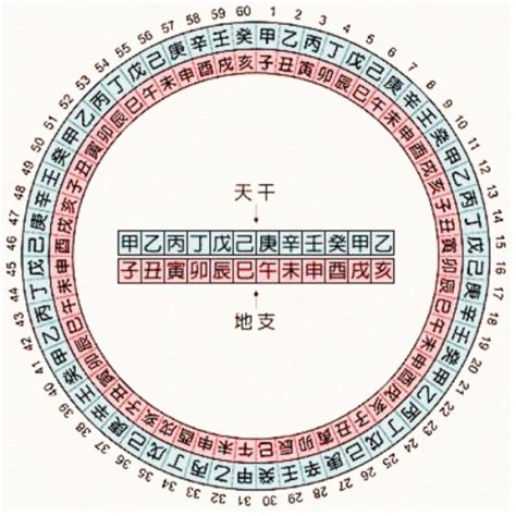 辛末年是哪一年|干支纪年对照表，天干地支年份对照表